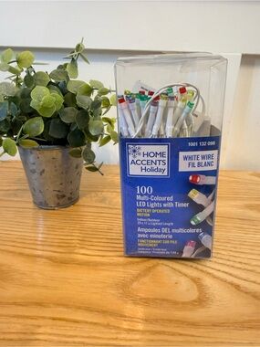 🌿10/$25 •  Home Accents Holiday 100-Light Multi-Coloured LED Lights with Timer